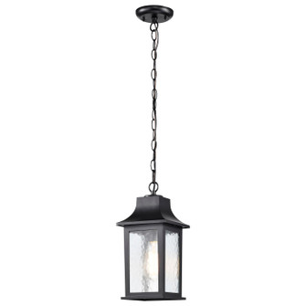 Stillwell One Light Outdoor Hanging Lantern in Matte Black (72|605958)