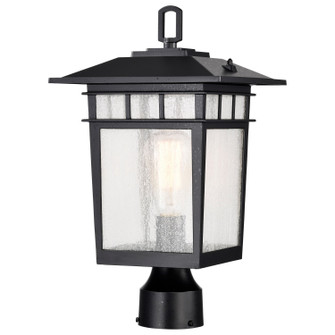 Cove Neck One Light Outdoor Post Lantern in Textured Black (72|605953)