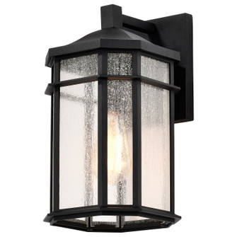 Raiden One Light Outdoor Wall Lantern in Matte Black (72|605760)