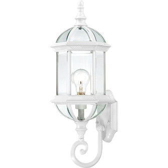 Boxwood One Light Wall Lantern in White (72|604971)