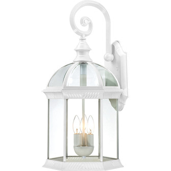 Boxwood Three Light Outdoor Wall Lantern in White (72|604967)