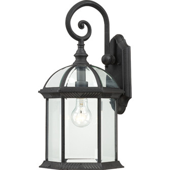Boxwood One Light Wall Lantern in Textured Black (72|604966)