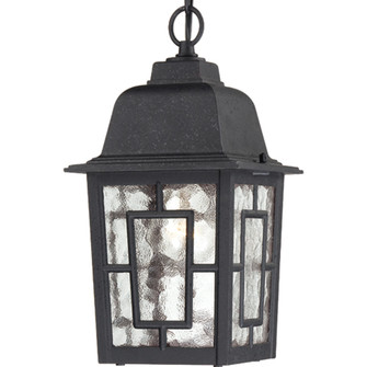 Banyan One Light Hanging Lantern in Textured Black (72|604933)