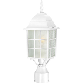 Adams One Light Post Lantern in White (72|604907)