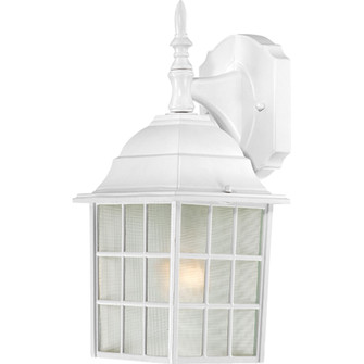 Adams One Light Wall Lantern in White (72|604904)