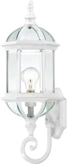 Boxwood One Light Wall Lantern in White (72|603497)