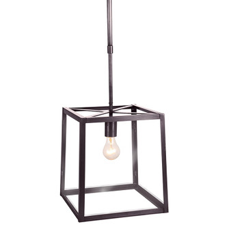 Foyer One Light Hanging Lantern in Dark Brass (196|ST1213DBMEDCLR)