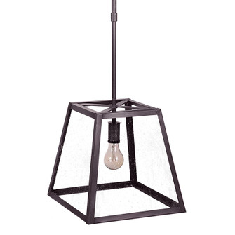 Foyer One Light Hanging Lantern in Dark Brass (196|ST0812DBMEDSMG)