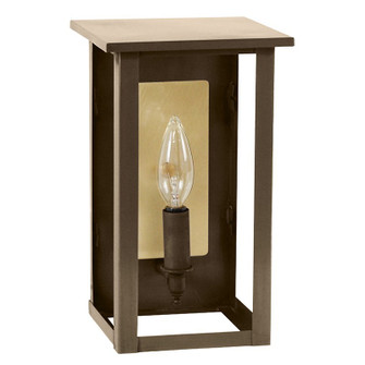 Ashford One Light Wall Lantern in Dark Antique Brass (196|8961RDABLT1CLRBR63)