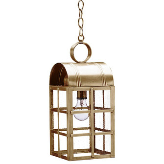 Adams One Light Hanging Lantern in Antique Brass (196|6142ABMEDSMG)