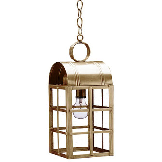 Adams One Light Hanging Lantern in Antique Brass (196|6142ABMEDCSG)