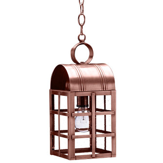 Adams One Light Hanging Lantern in Antique Copper (196|6132ACMEDCSG)