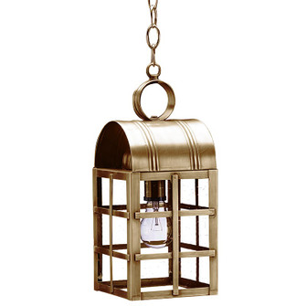 Adams One Light Hanging Lantern in Antique Brass (196|6132ABMEDCSG)