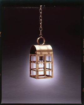 Adams One Light Hanging Lantern in Antique Brass (196|6132ABMEDCLR)