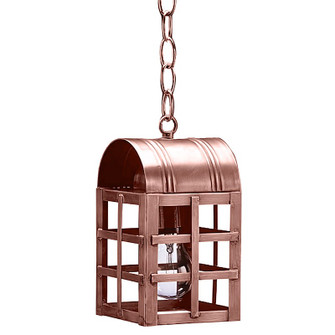 Adams One Light Hanging Lantern in Antique Copper (196|6112ACMEDCLR)