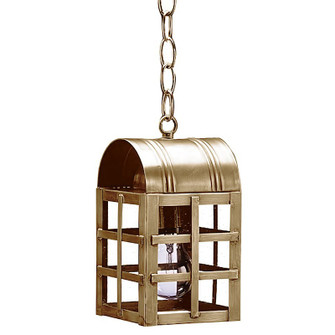 Adams One Light Hanging Lantern in Antique Brass (196|6112ABMEDCSG)