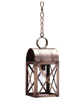 Adams One Light Hanging Lantern in Antique Copper (196|6032ACMEDCLR)