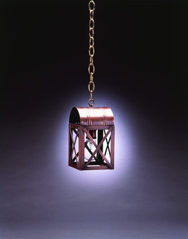 Adams One Light Hanging Lantern in Dark Brass (196|6012DBMEDCLR)