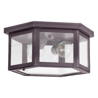 Flush Two Light Flush Mount in Dark Brass (196|4604DBMED2FST)