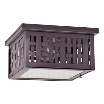 Weave Two Light Outdoor Flush Mount in Dark Brass (196|4404WDBMED2CLR)