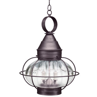 Onion Two Light Hanging Lantern in Dark Brass (196|2572DBLT2OPT)