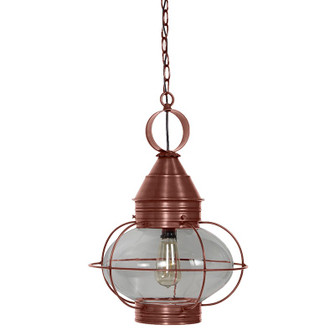 Onion One Light Hanging Lantern in Antique Copper (196|2572ACMEDCLR)