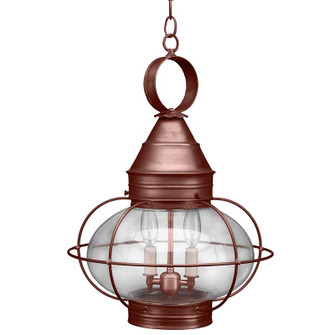 Onion Two Light Hanging Lantern in Antique Copper (196|2572ACLT2CLR)