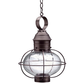 Onion One Light Hanging Lantern in Dark Brass (196|2542DBMEDCSG)