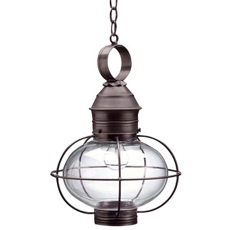 Onion One Light Hanging Lantern in Dark Brass (196|2542DBMEDCLR)