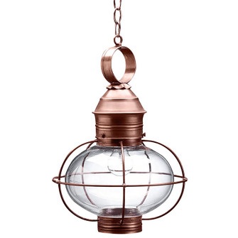 Onion One Light Hanging Lantern in Antique Copper (196|2542ACMEDCLR)
