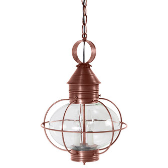 Onion Two Light Hanging Lantern in Antique Copper (196|2542ACLT2CLR)