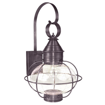 Onion One Light Wall Mount in Dark Brass (196|2541DBMEDCSG)