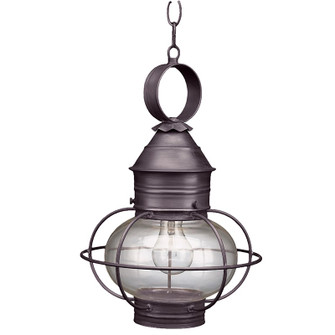 Onion One Light Hanging Lantern in Dark Brass (196|2532DBMEDCLR)