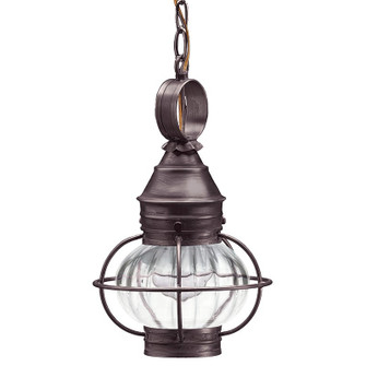 Onion One Light Hanging Lantern in Dark Brass (196|2512DBMEDOPT)