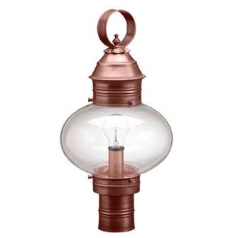 Cageless One Light Post Mount in Antique Copper (196|2043ACMEDCLR)