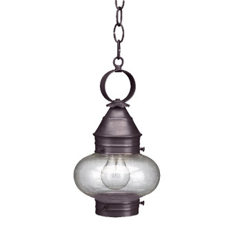 Cageless One Light Hanging Lantern in Dark Brass (196|2022DBMEDCSG)