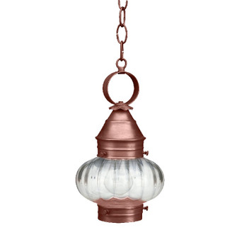 Cageless One Light Hanging Lantern in Antique Copper (196|2022ACMEDOPT)