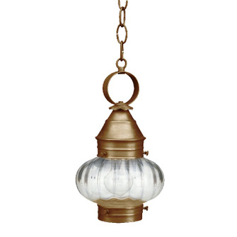Cageless One Light Hanging Lantern in Antique Brass (196|2022ABMEDOPT)