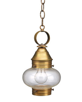 Cageless One Light Hanging Lantern in Antique Brass (196|2022ABMEDCLR)