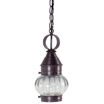 Cageless One Light Hanging Lantern in Dark Brass (196|2012DBMEDOPT)
