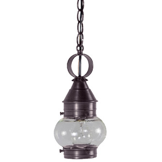 Cageless One Light Hanging Lantern in Dark Brass (196|2012DBMEDCSG)