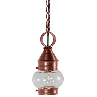 Cageless One Light Hanging Lantern in Antique Copper (196|2012ACMEDCLR)