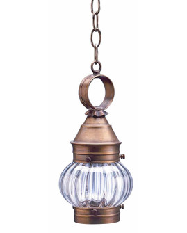 Cageless One Light Hanging Lantern in Antique Brass (196|2012ABMEDOPT)