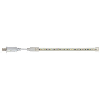 Sl LED Tape Light LED Tape Light in White (167|NUTP13W412930CP)