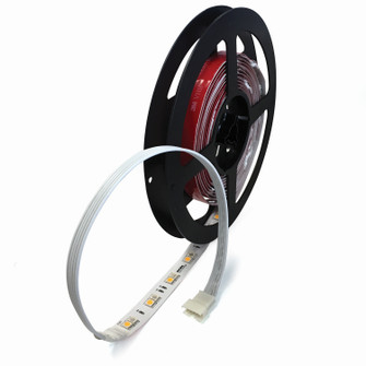 LED Tape Light in White (167|NUTP11W10RGBW)