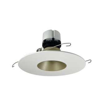 LED Pearl LED Retrofit Reflector in Champagne Haze / Matte Powder White (167|NPR56RNDC40XCHMPW)