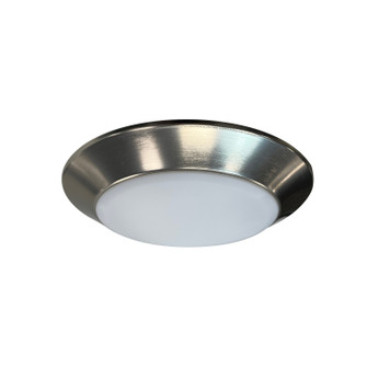 Rec LED Opal LED Surface Mount in Natural Metal (167|NLOPACR6TWNM)