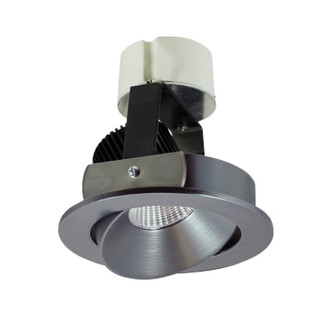 Rec Iolite 4'' Retrofit Round Reg Cone Adj in Natural Metal Reflector / Natural Metal Flange (167|NIR4RC50XNN)