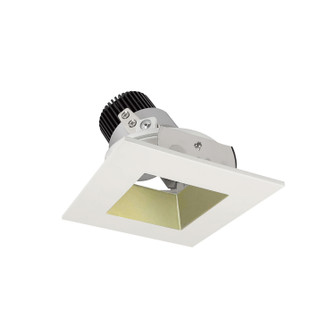 Rec Iolite Adjustable Trim in Champagne Haze Reflector / Matte Powder White Flange (167|NIO4SDSQ50XCHMPW10)