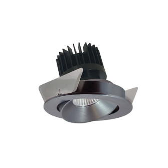 Rec Iolite Adjustable Trim in Natural Metal Reflector / Natural Metal Flange (167|NIO4RC40XNNHL)